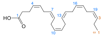 Structure et nomenclature du DHA.